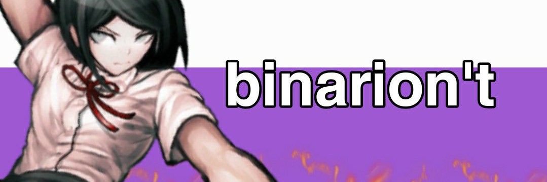 parropuro's profile banner image