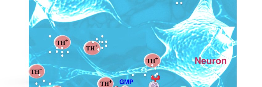 Partha Dutta lab banner