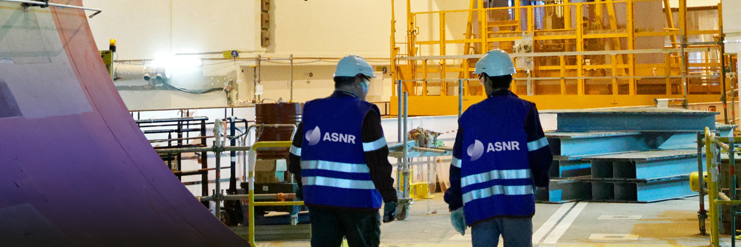 Autorité de sûreté nucléaire et de radioprotection's banner