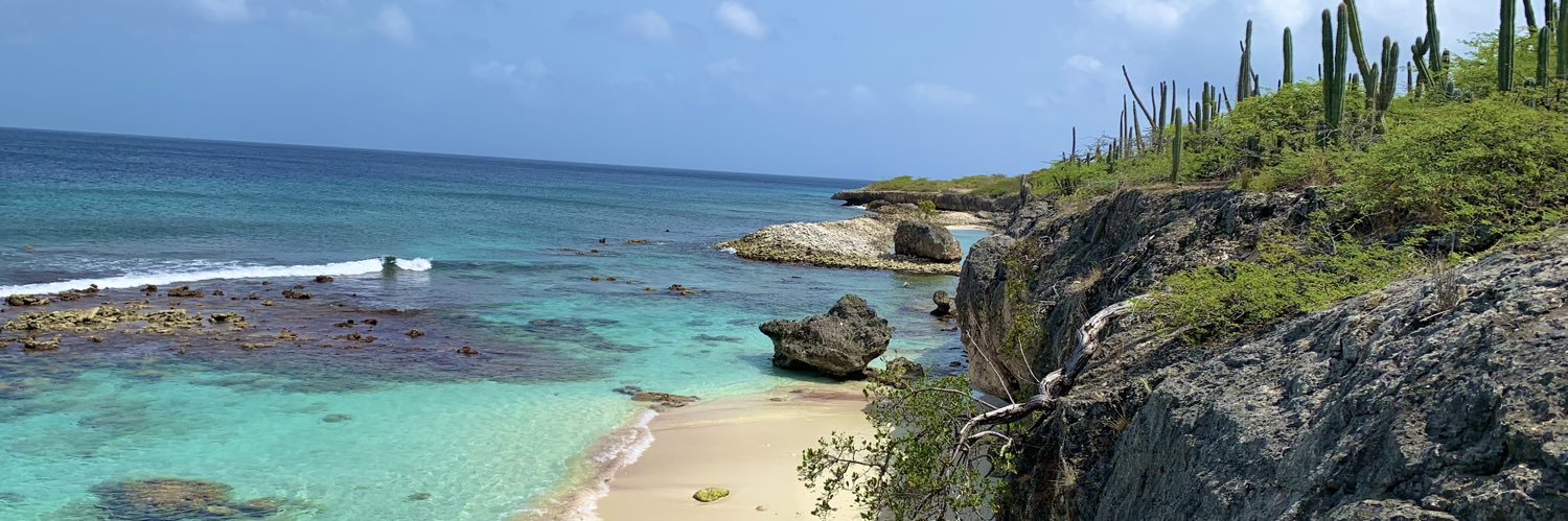 René ten Have banner