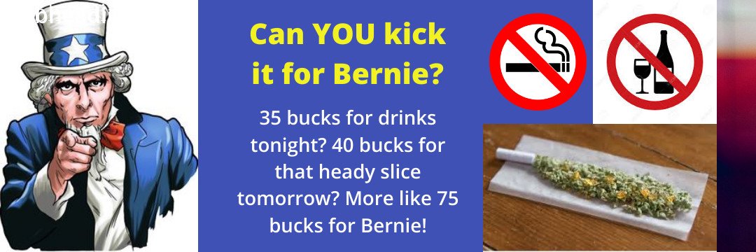 KickItForBernie banner