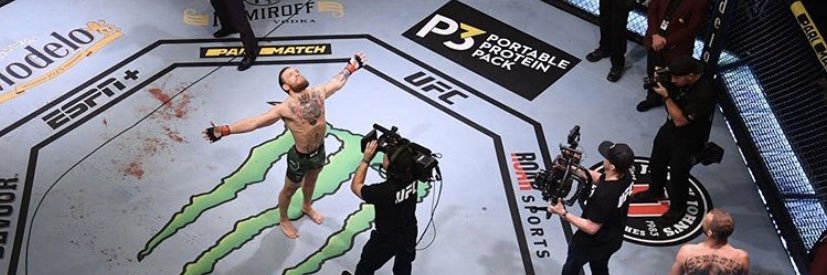 Parry Punch's banner