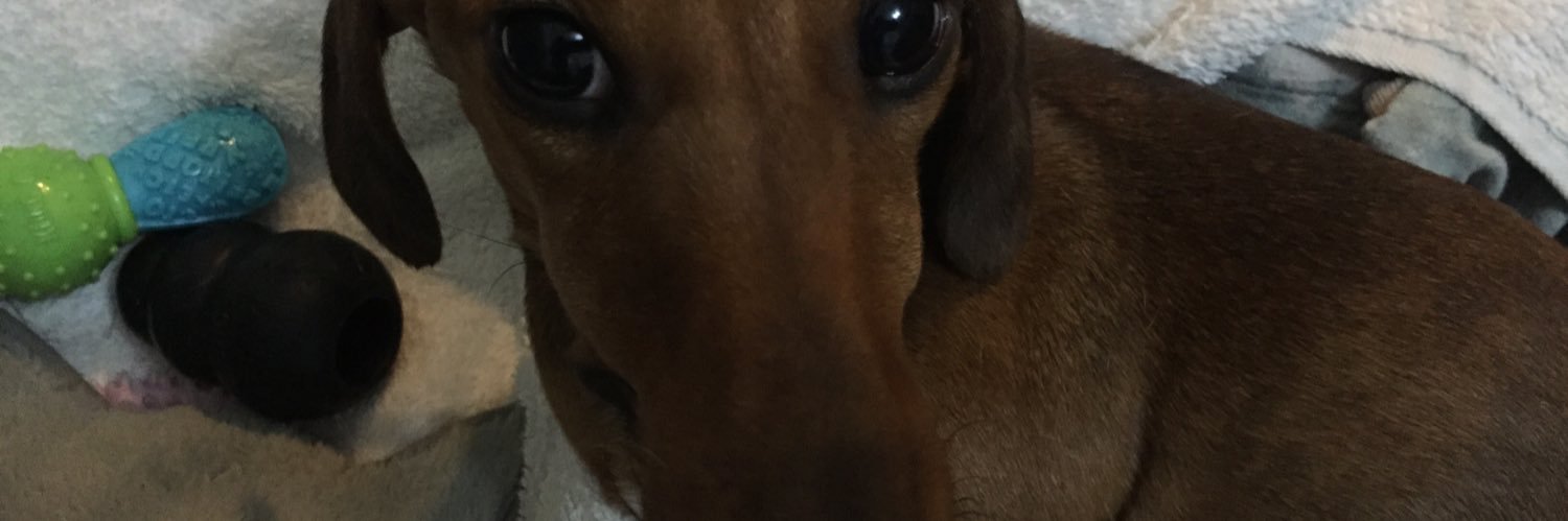 amparo_casado's profile banner image