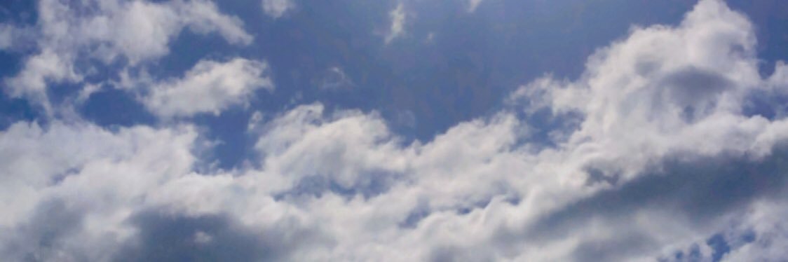 chedt101's profile banner image
