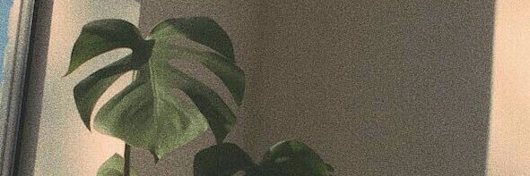 sellydwil's profile banner image