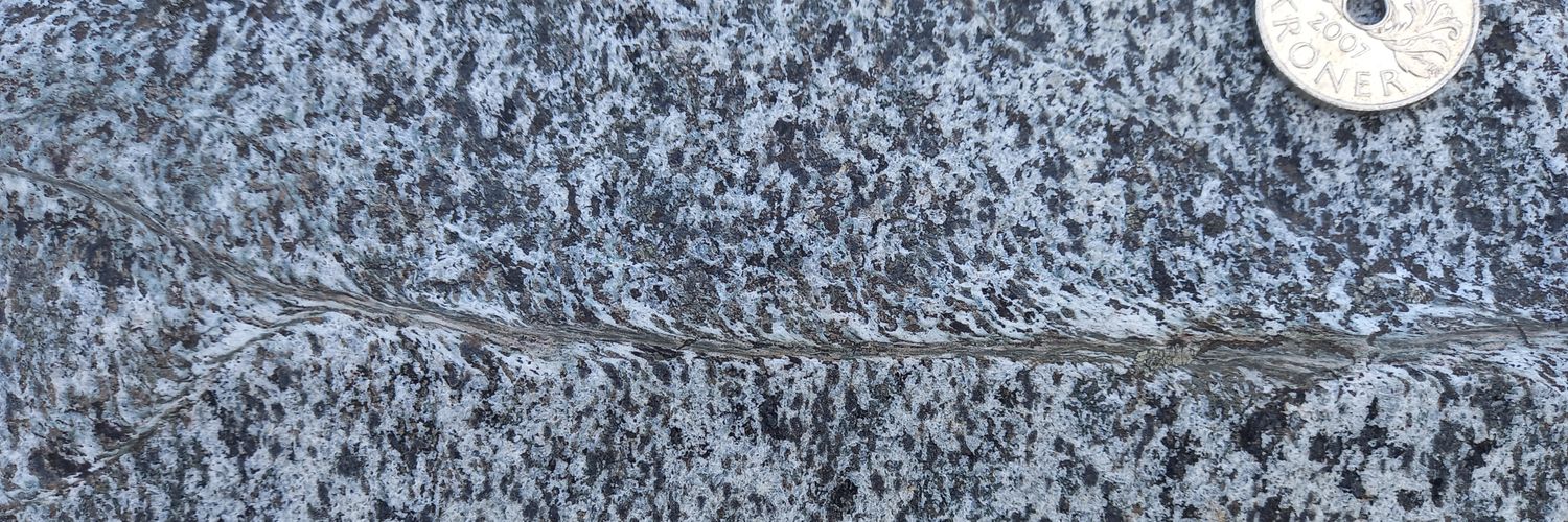 Sascha Zertani banner