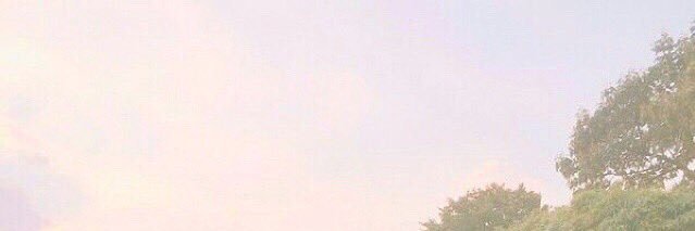 のあ🐰@取引垢 banner