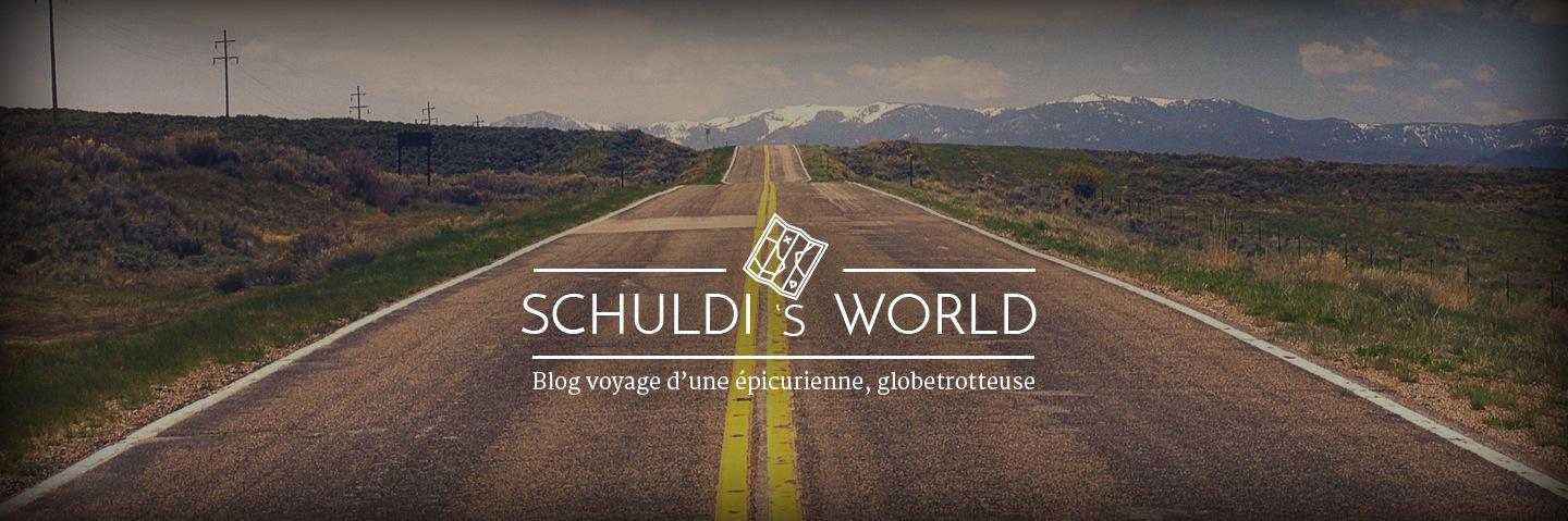 SchuldisWorld's profile banner image