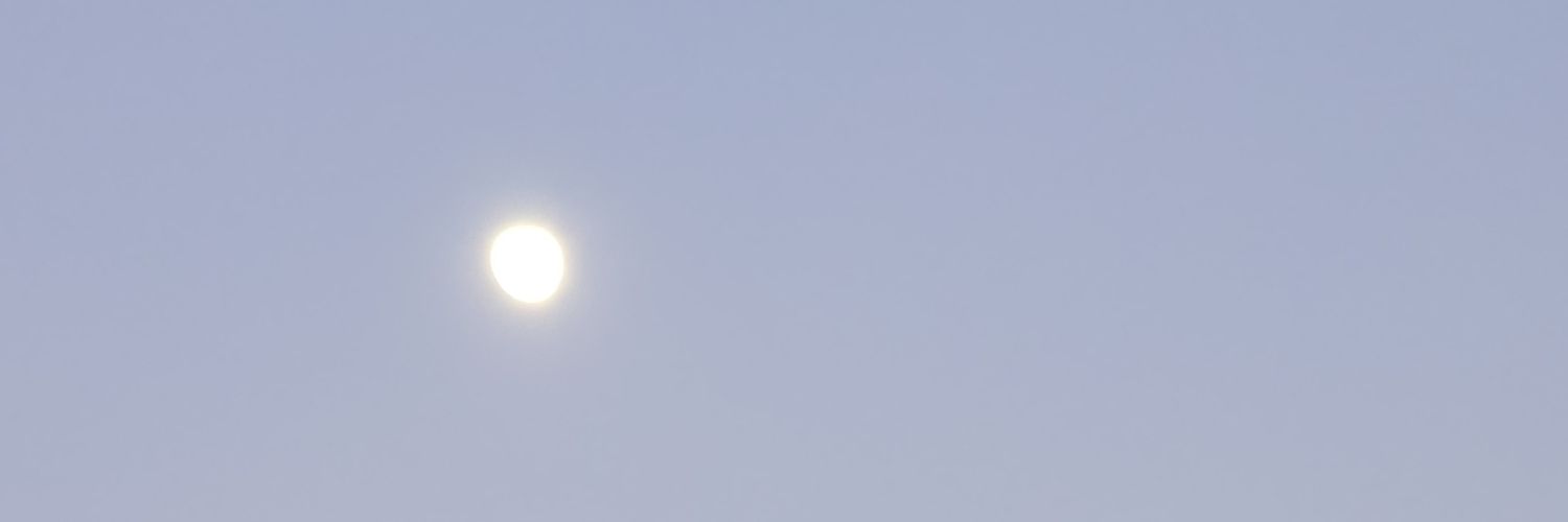 MalejandroM's profile banner image