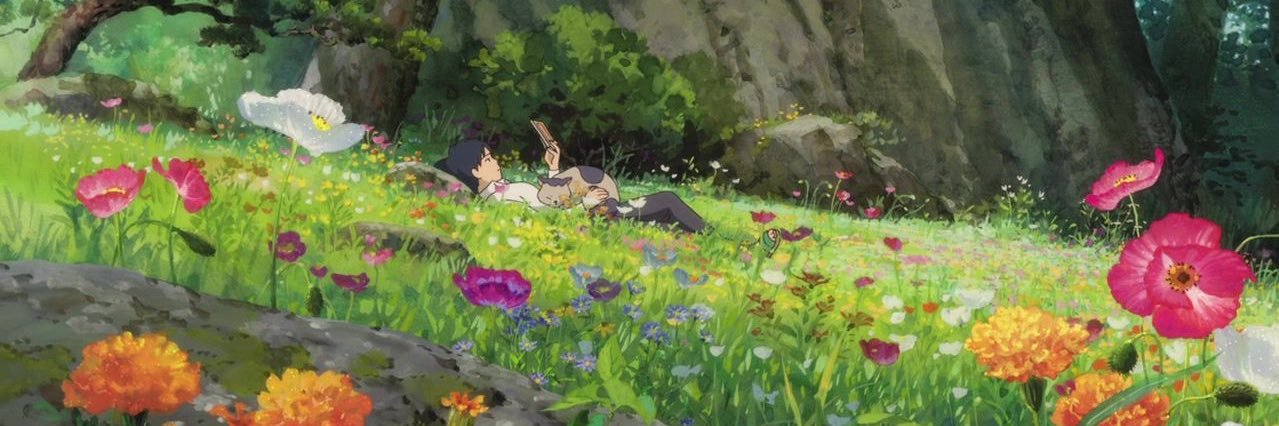 hatfindwils's profile banner image