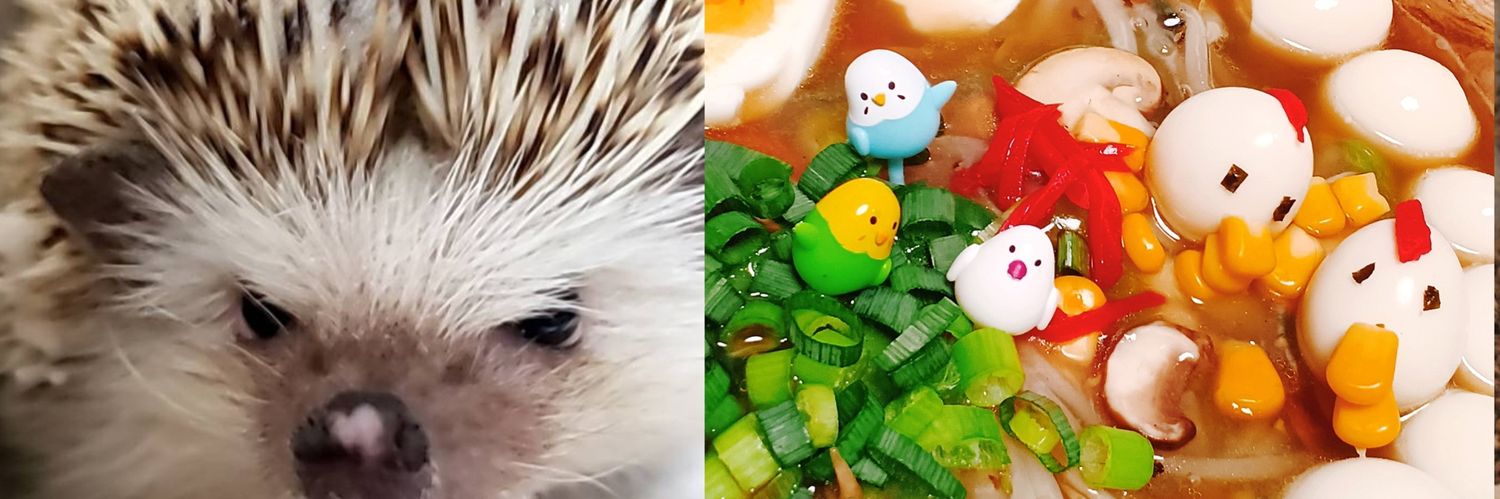 ‎🤍りぃ~たん🦔 |ω･ᐡ꒱🎀 banner