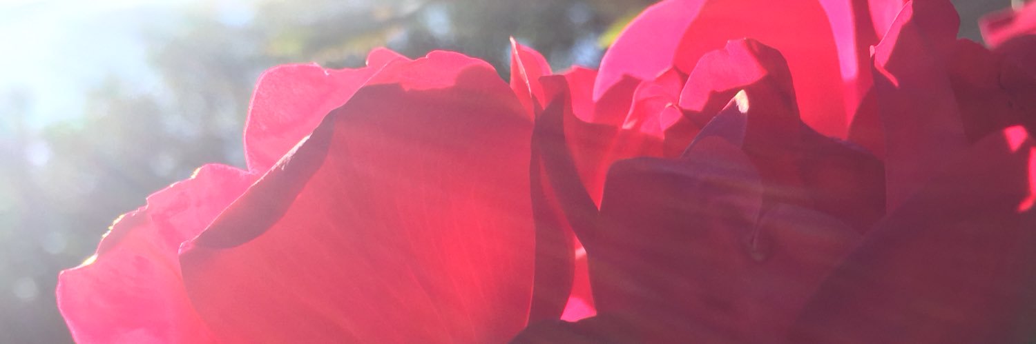 WrekItRalph's profile banner image
