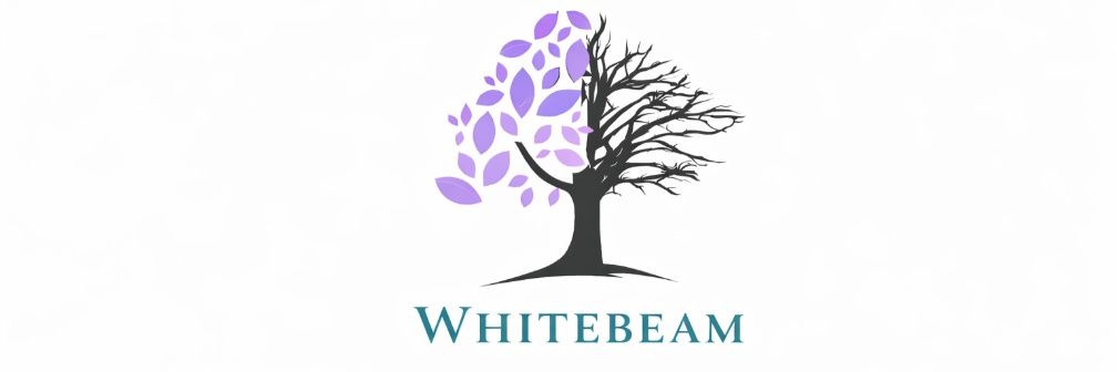 aislingwellness's profile banner image