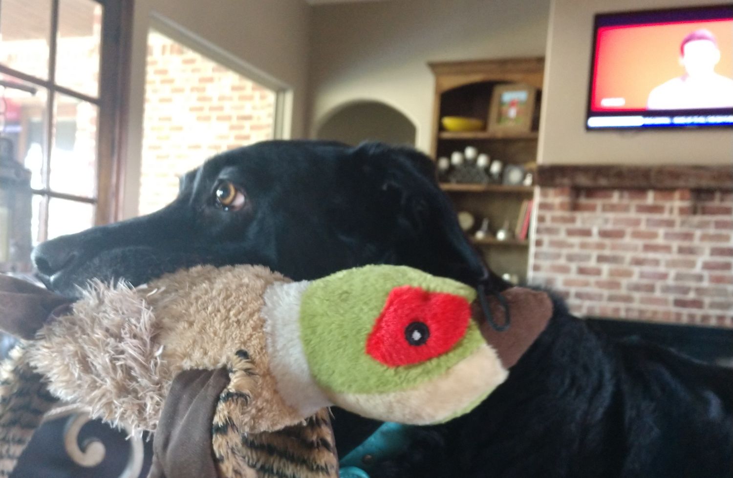 Tommy Mcelduff banner