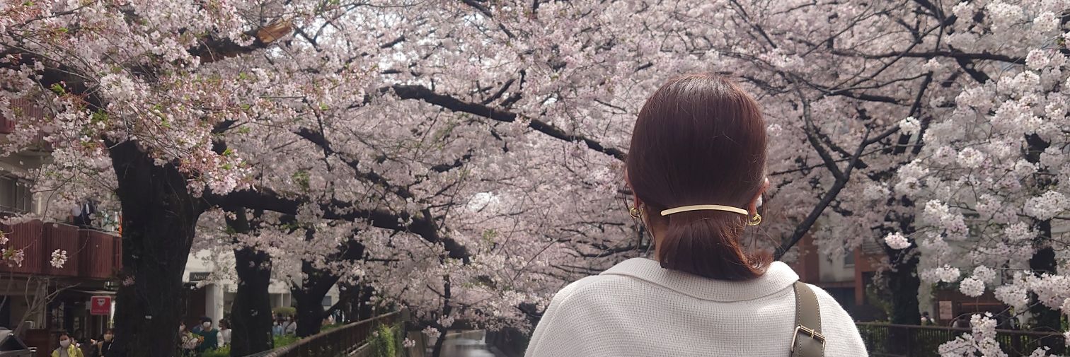 free0520's profile banner image