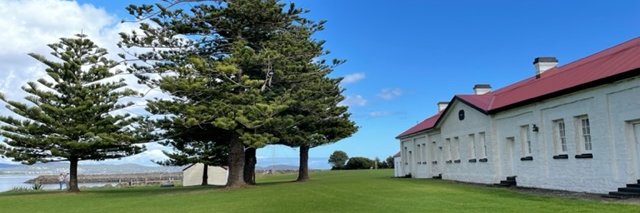 TSoM Public Health banner