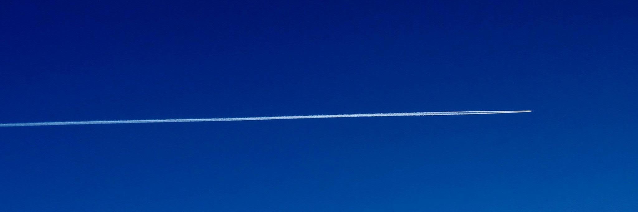 Mikhail Vasilyev banner