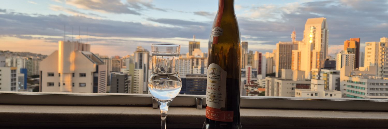 Gilberto 🙂🇧🇷 🇭🇺 banner