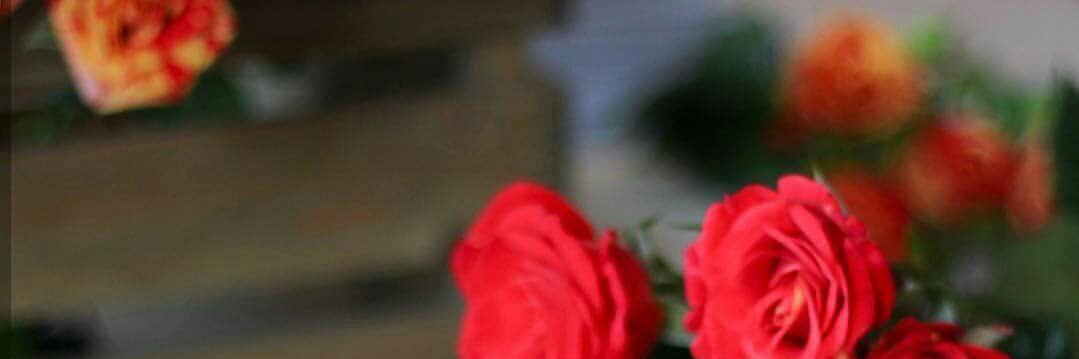 NcFo79's profile banner image