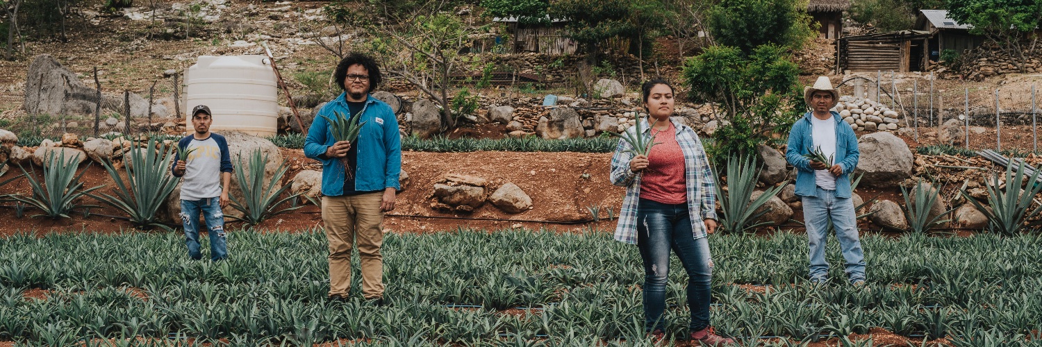 Mezcal Unión banner