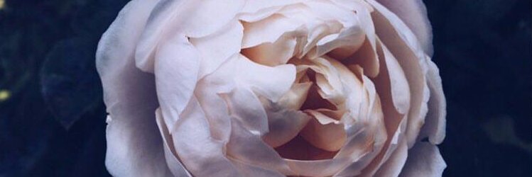 wantonlaksa's profile banner image