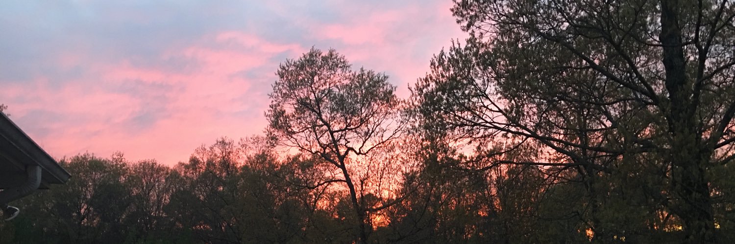 ScenicAlabama's profile banner image