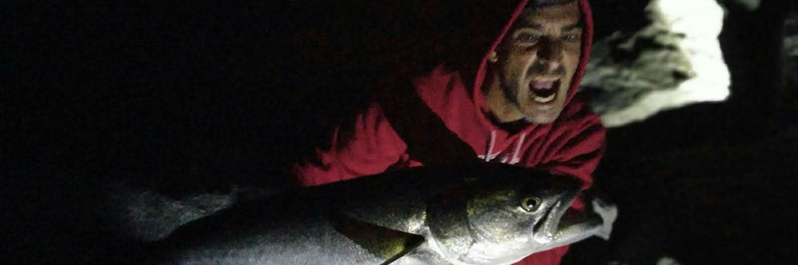 PredatorsFishi1's profile banner image