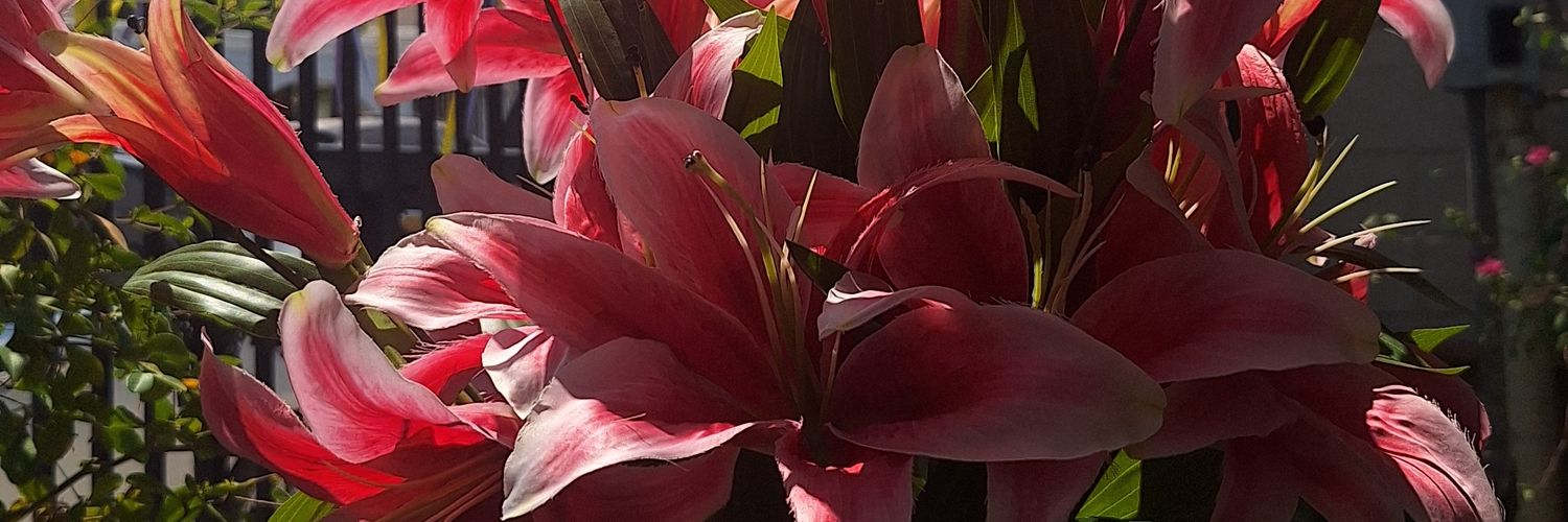 wtfwithlove's profile banner image