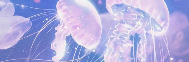 savanan_'s profile banner image