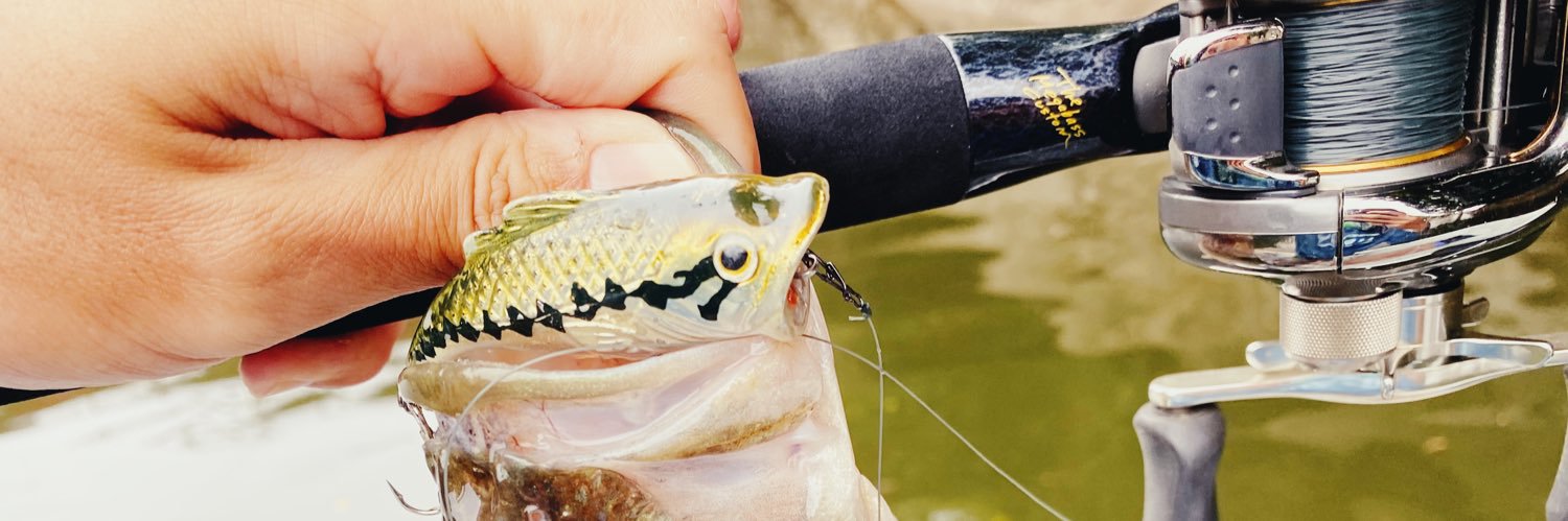 Mr.ノーバイト / 北畠蘭知亜 banner