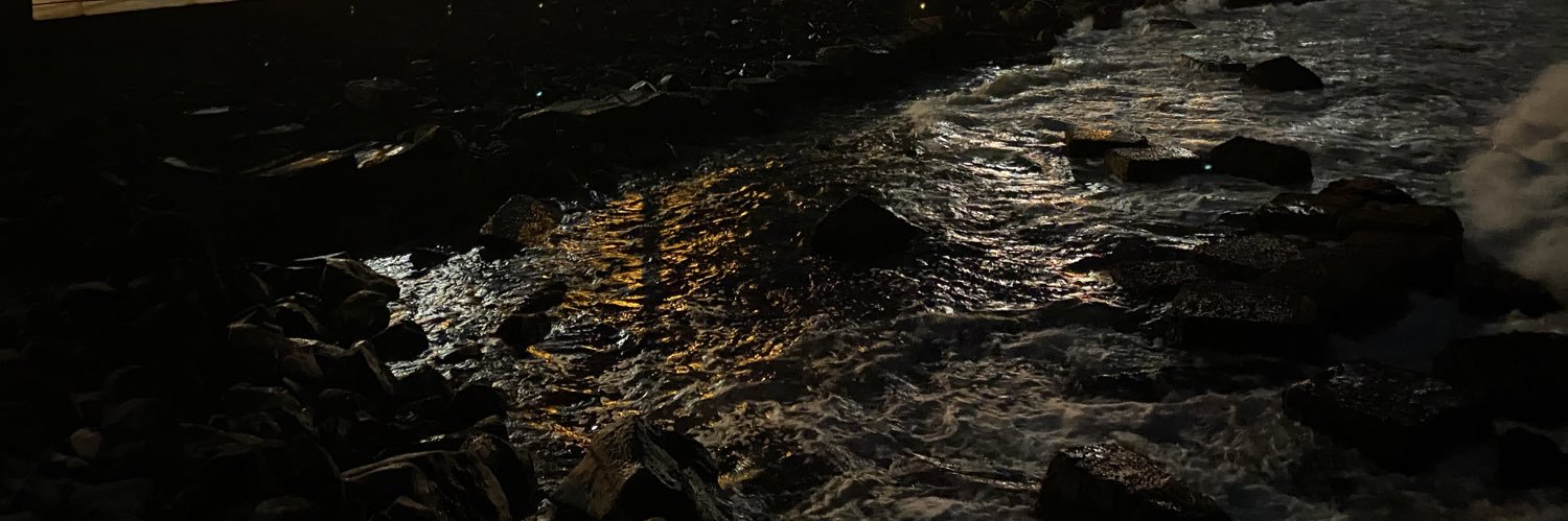 Skytrnd's profile banner image