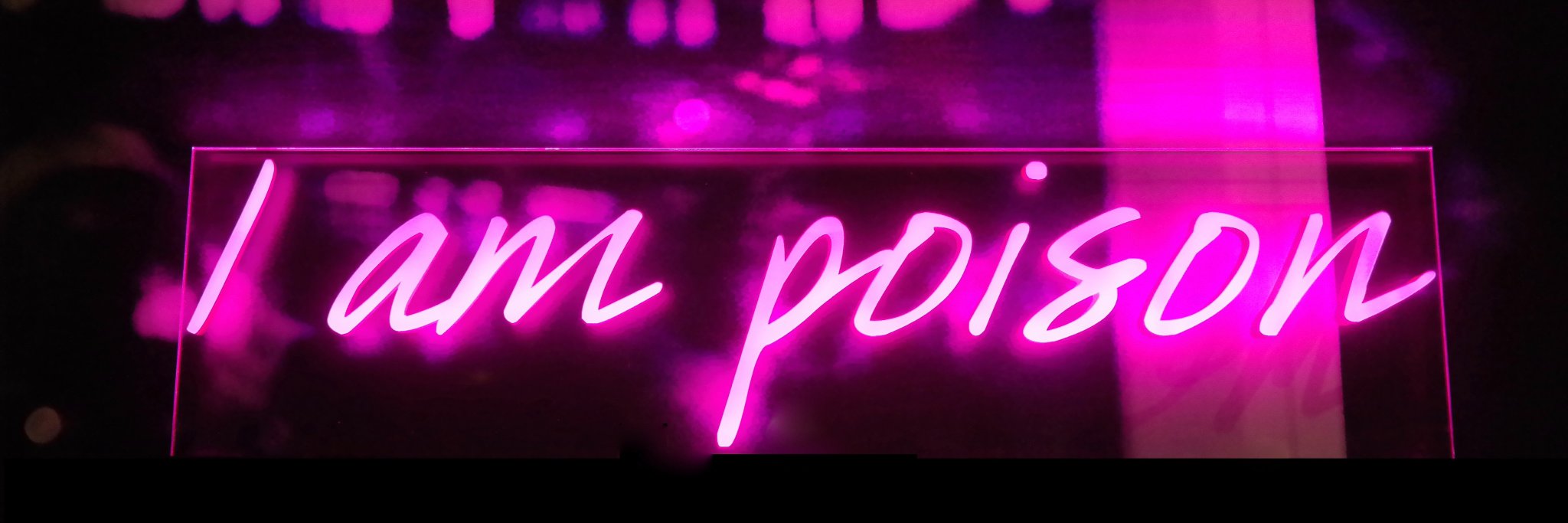 VeronicaFalco's profile banner image