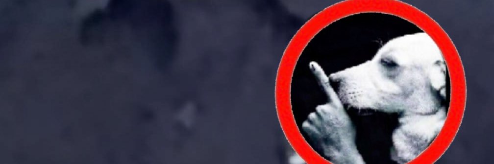 smallsexmoney banner
