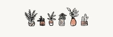 🍣𝕊𝕒𝕝𝕞𝕠𝕟 𝕊𝕒𝕕𝕠𝕗𝕖̀ banner