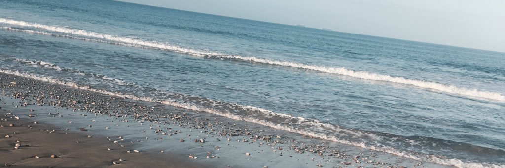 MANDISAHH's profile banner image