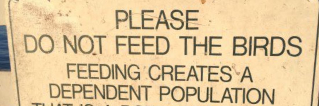 Austin Tacious banner