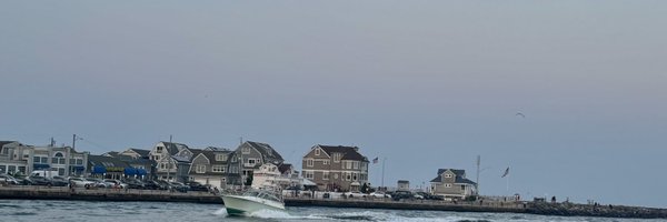 TardyLizzie Profile Banner