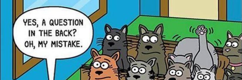 ambmorrison🇺🇦 banner