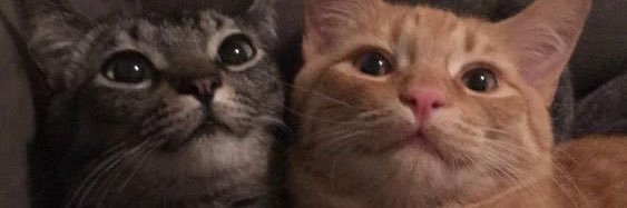 w_pepito's profile banner image