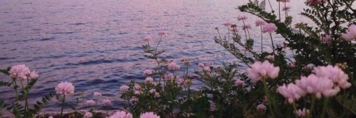 🦋реалистка🦋 banner