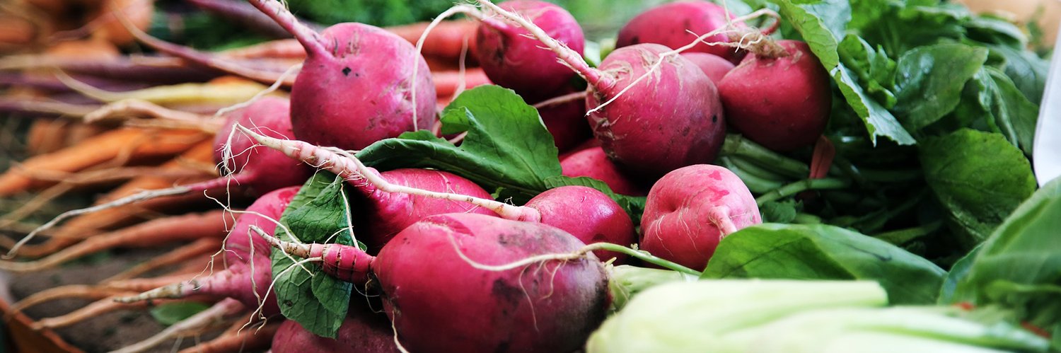 Roots_Nutrition's profile banner image