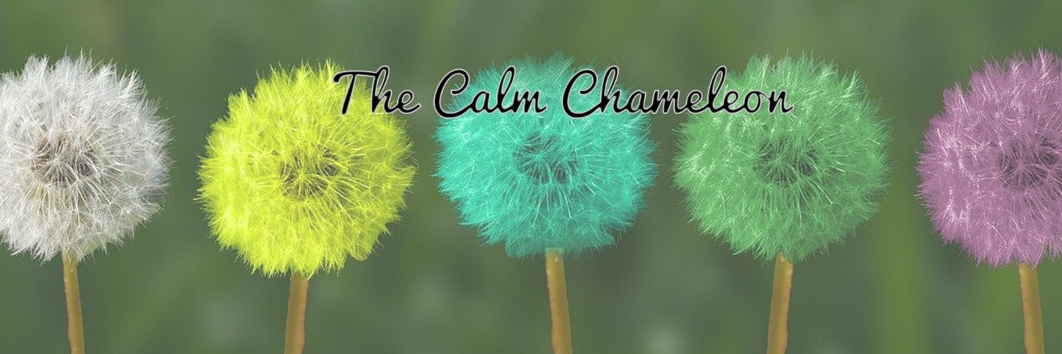 The Calm Chameleon 💜 banner