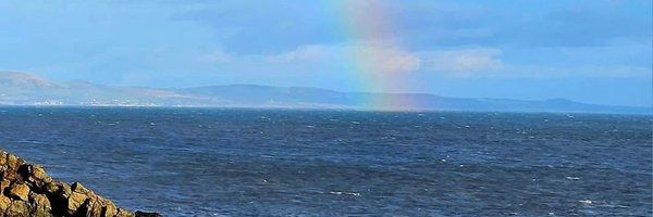 Char_wilso Profile Banner