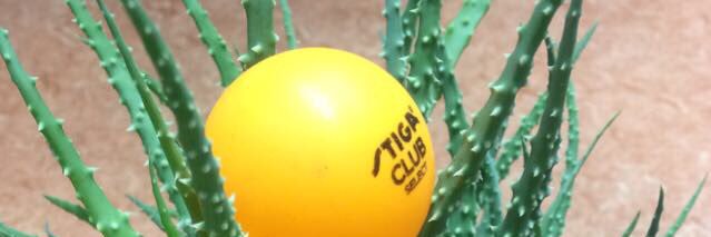 Daniel Bendix banner