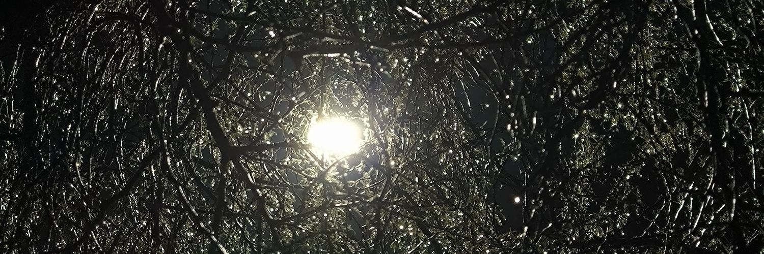SebRoRiq's profile banner image