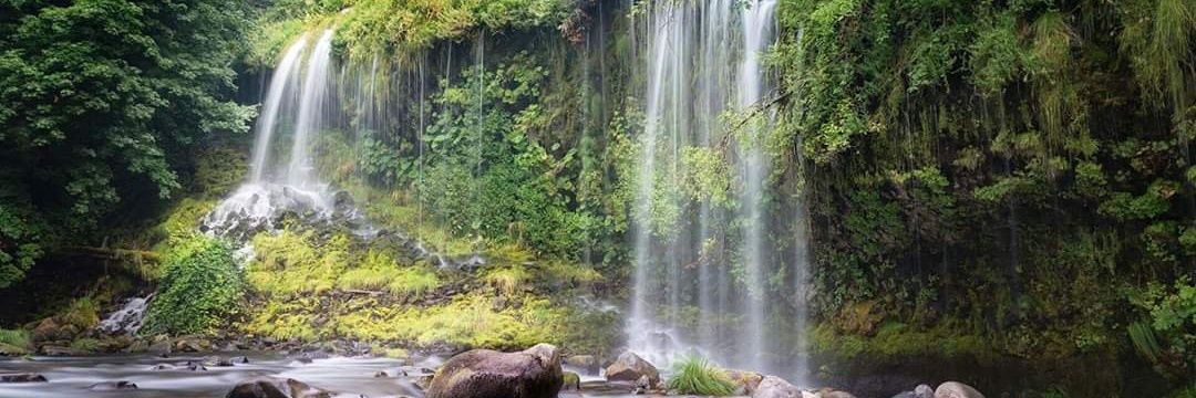 Environmental conservation community of Tanzania banner