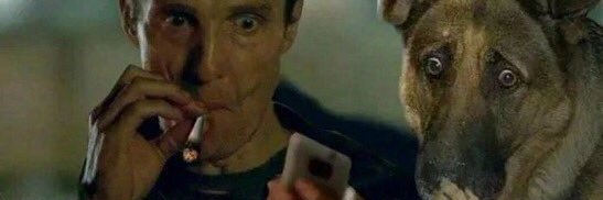 Silly Monster banner