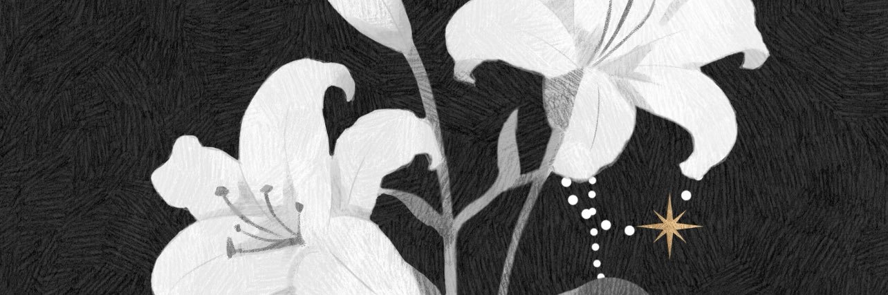 🍓🎀 𝑇𝑒𝑟𝑟𝑜𝑟 🎀🍓 banner