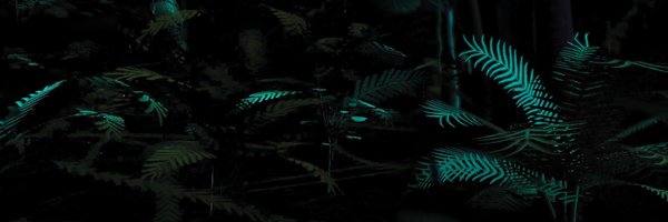 gondwanavr Profile Banner