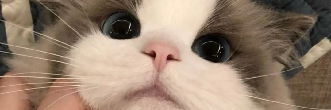 _trisyaa_'s profile banner image